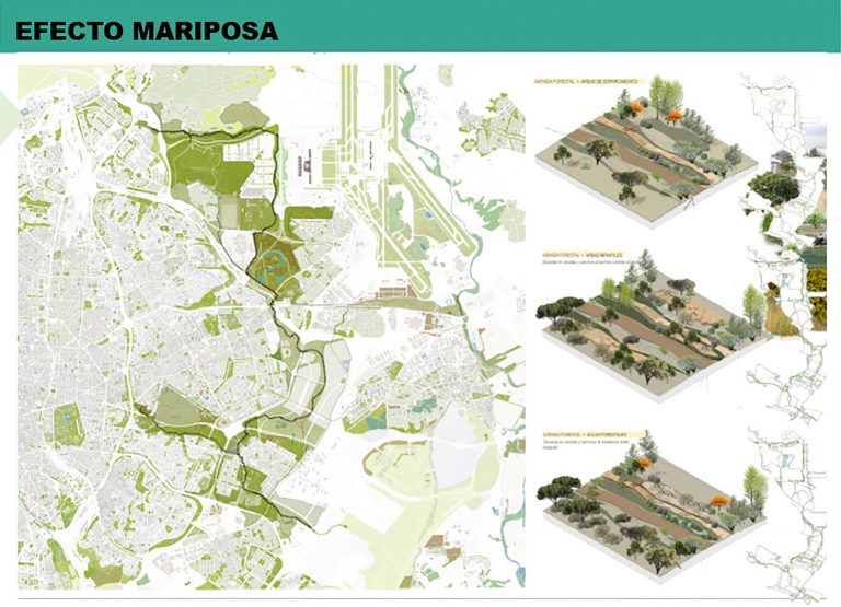Propuesta ganadora del lote 2 del concurso de Bosque Metropolitano